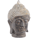 Buddha Head