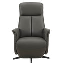Hudson Swivel Accent Electric Recliner - Ash