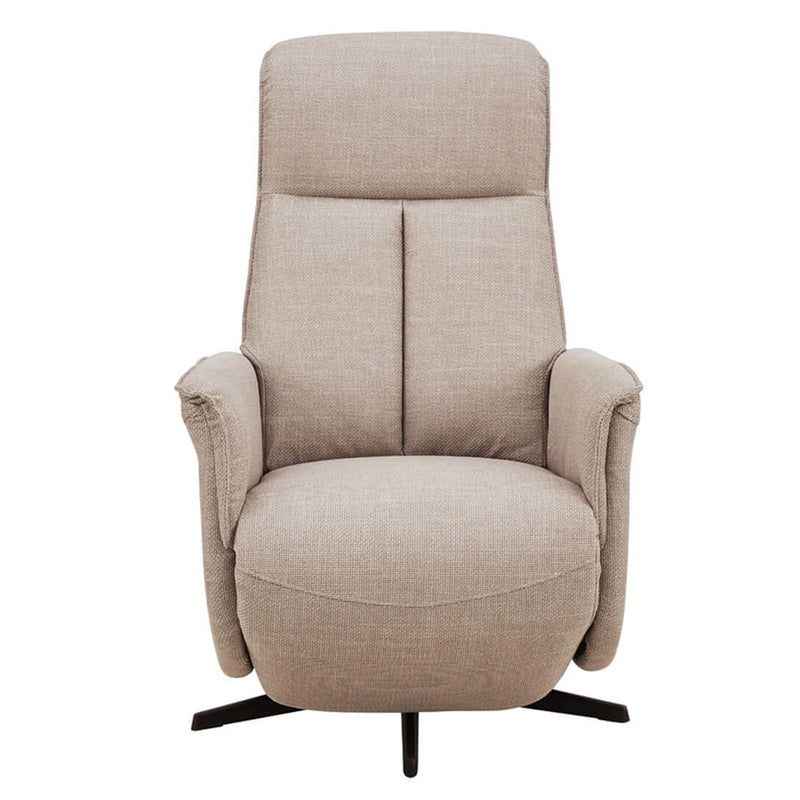 Hudson Swivel Accent Electric Recliner - Mushroom