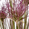 Faux Water Bamboo Grass 24 Inch