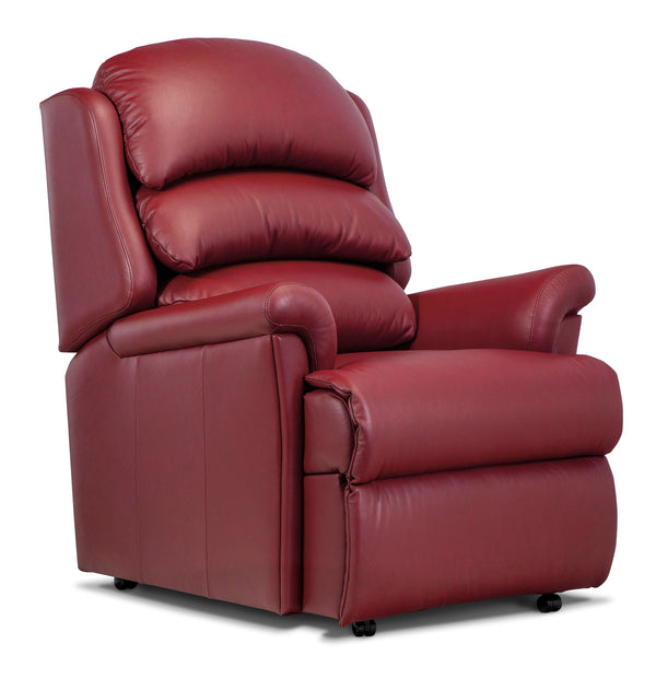 Albany Fixed Single Seat Chair - Leather