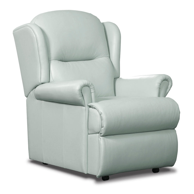 Malvern Fixed Single Seat Chair - Leather