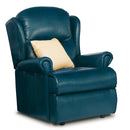 Malvern Fixed Single Seat Chair - Leather
