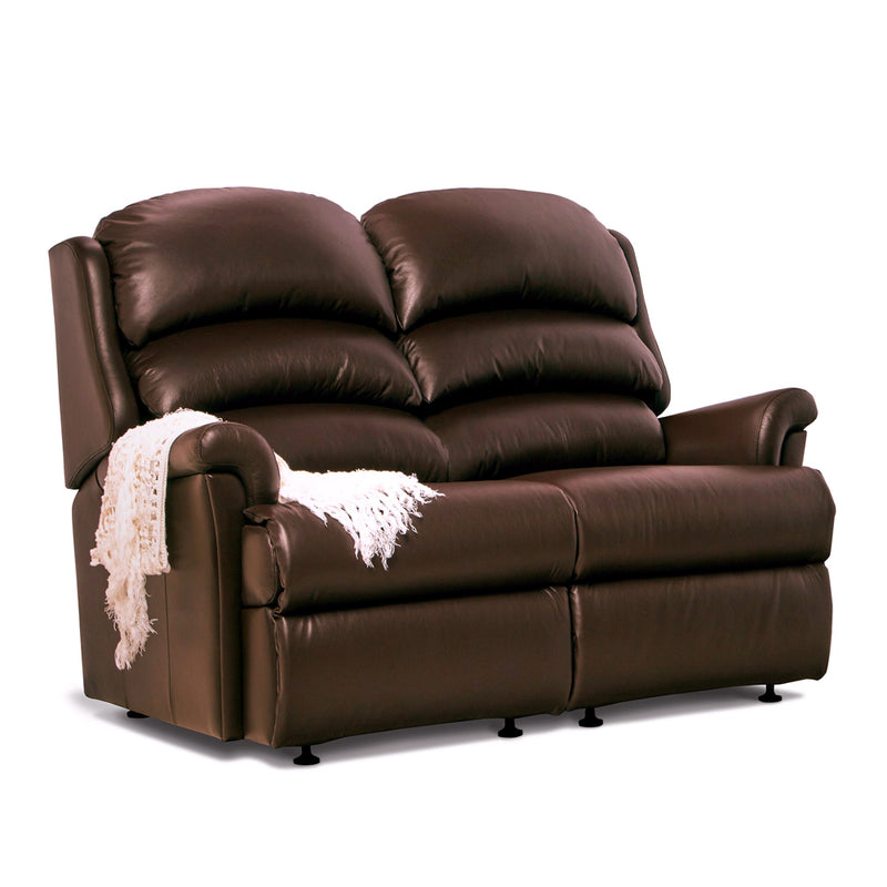 Albany Fixed 2 Seater Sofa - Leather