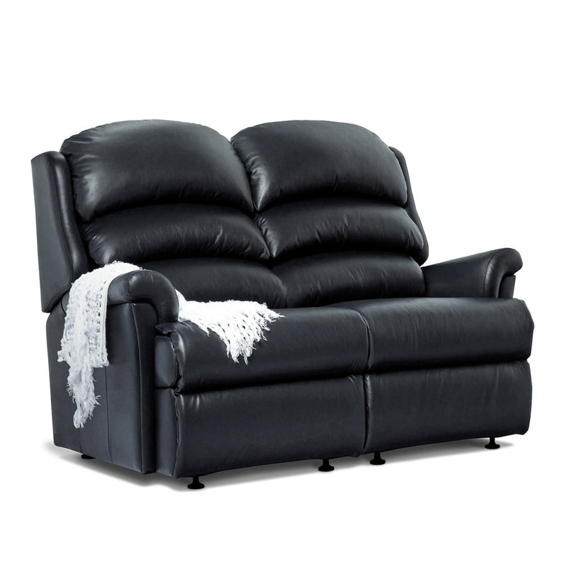 Albany Fixed 2 Seater Sofa - Leather