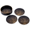Set of 4 Black and Gold Coral Coasters & Holder