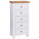 Oxford Painted 5 Drawer Wellington