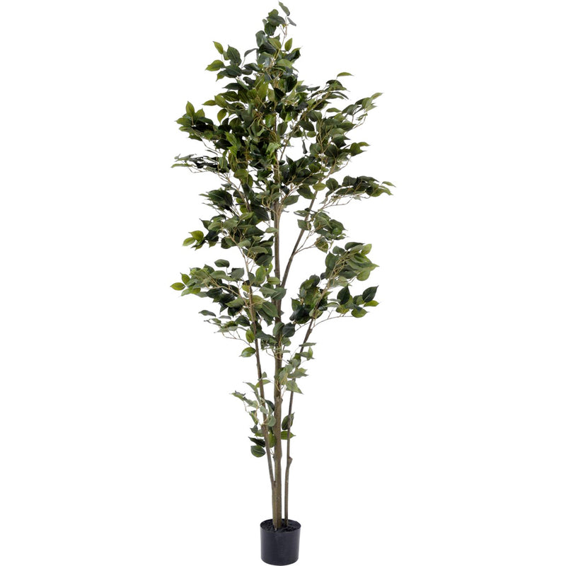 Faux Weeping Fig Tree - 182cm