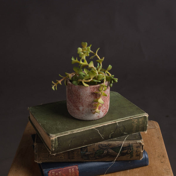 Miniature Potted Faux Succulent