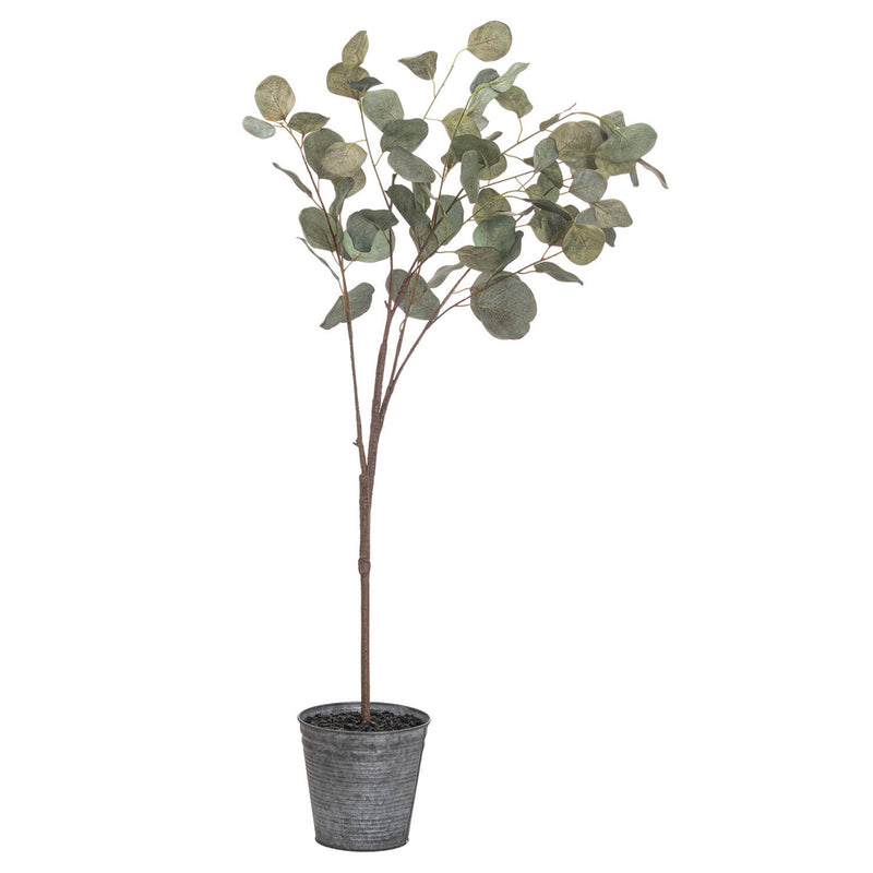 Metal Potted Eucalyptus